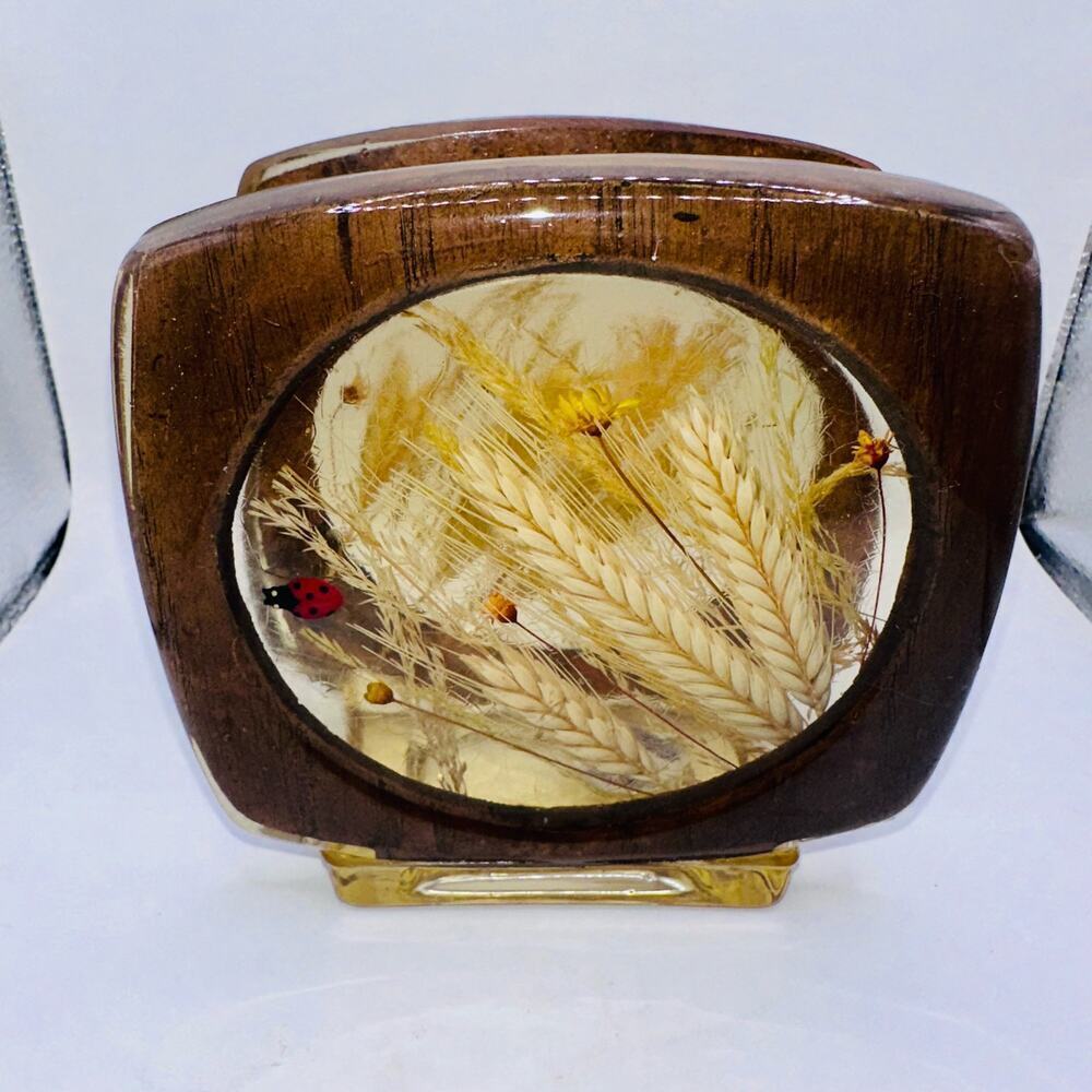 Vintage 1970s Design Gifts International Lucite Napkin Holder Ladybug Flowers